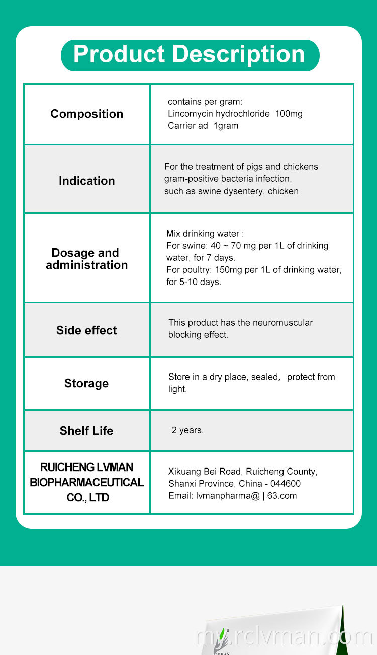 Lincomycin Hydrochloride 02